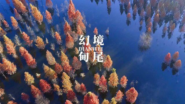 兔子武士大冒险
