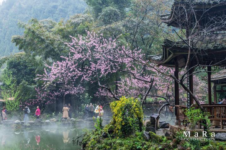 100天学霸养成