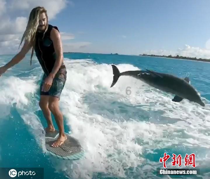 小猫钓鱼正版下载中文版